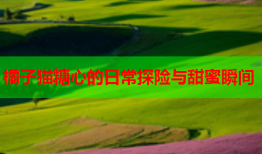 橘子猫糖心的日常探险与甜蜜瞬间