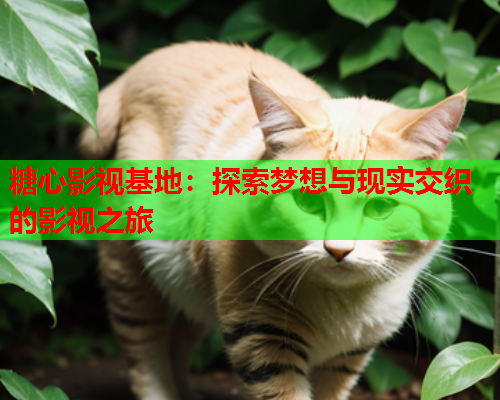 糖心影视基地：探索梦想与现实交织的影视之旅