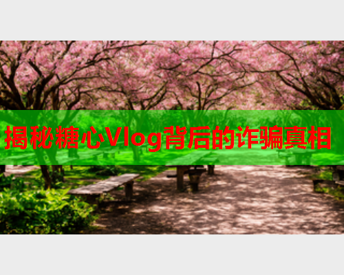 揭秘糖心Vlog背后的诈骗真相