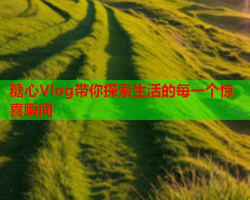 糖心Vlog带你探索生活的每一个惊喜瞬间